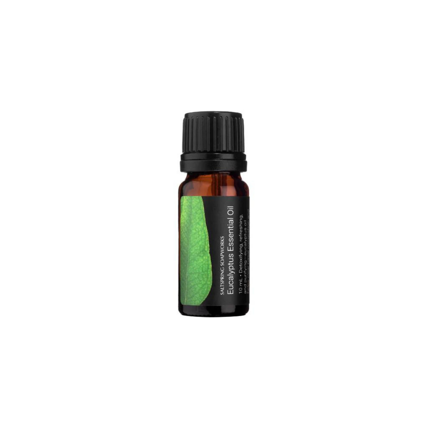 Organic Eucalyptus Essential Oil