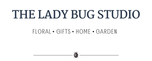 The Lady Bug Studio