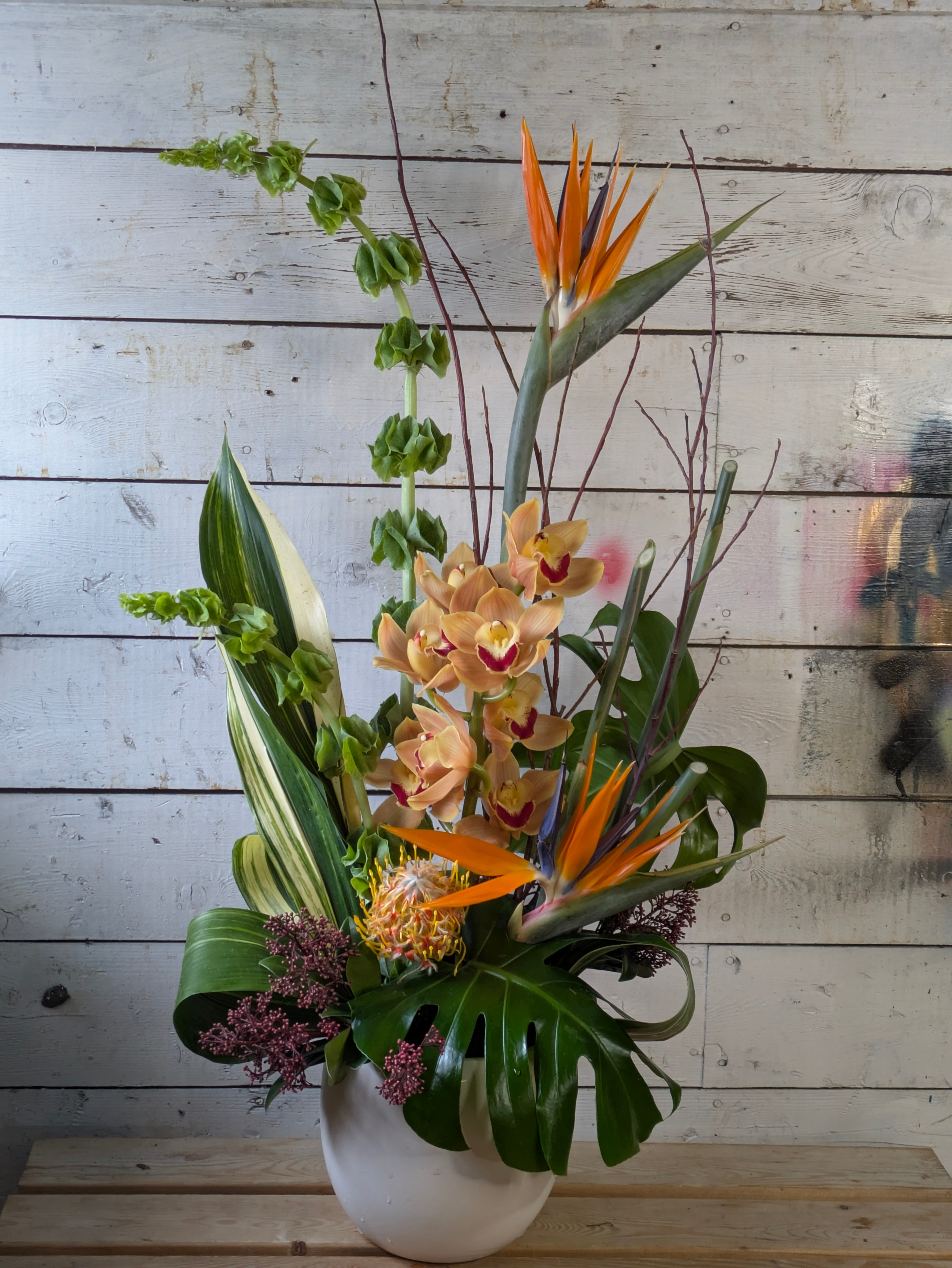 Tropical Statement
