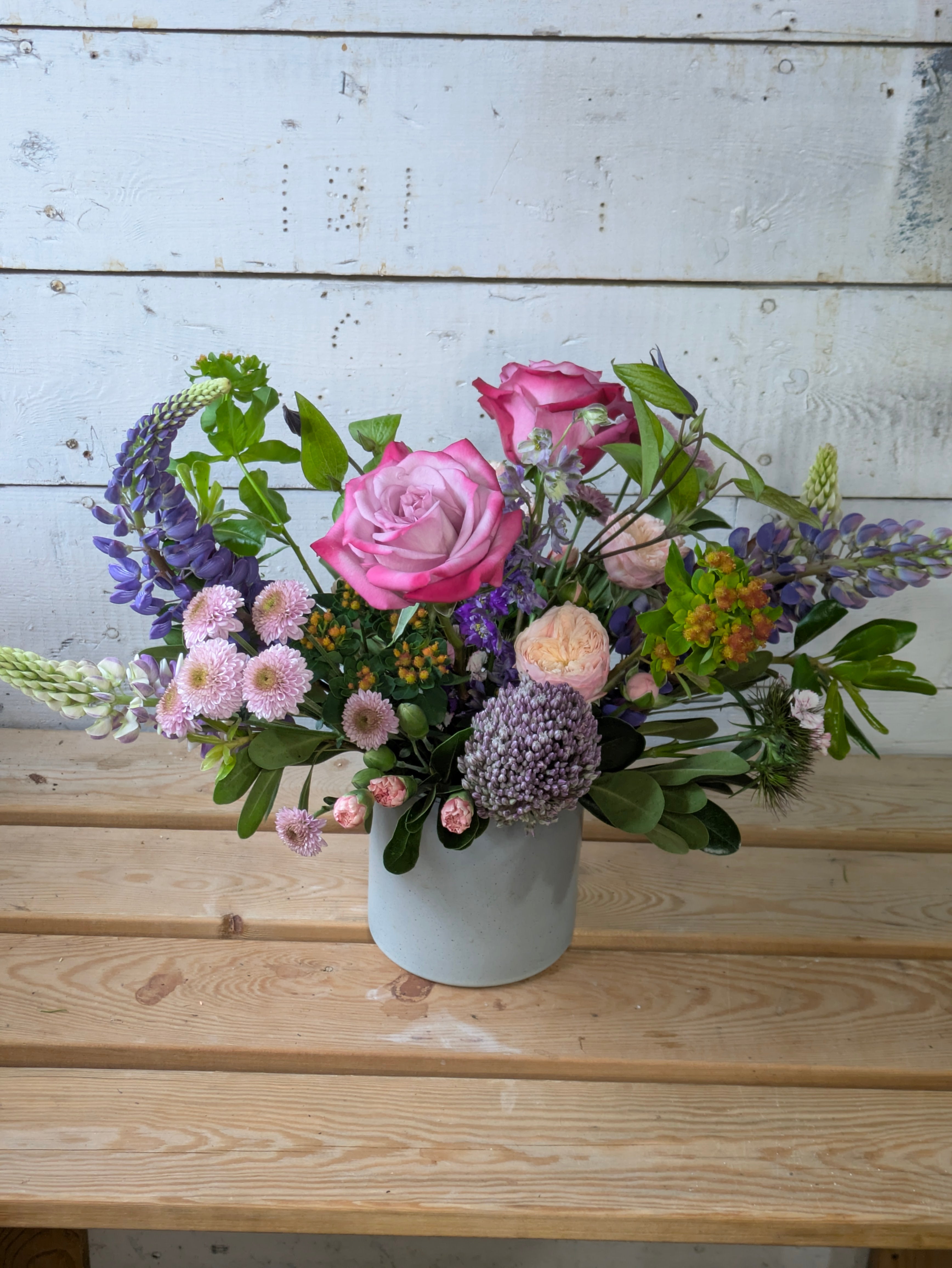 Spring Canister Arrangement