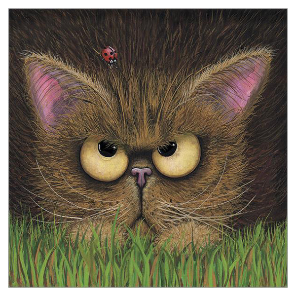 Cat & Ladybug Card