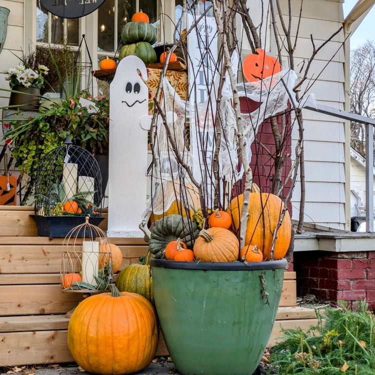 Autumn