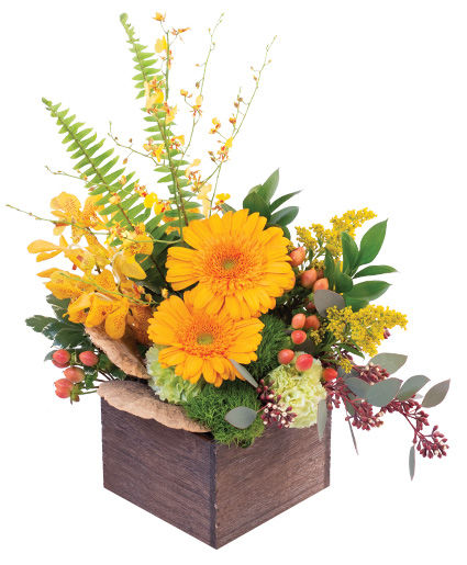 Dried Flowers