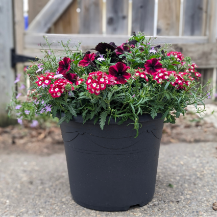 Patio Planters