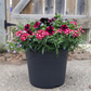 Patio Planters