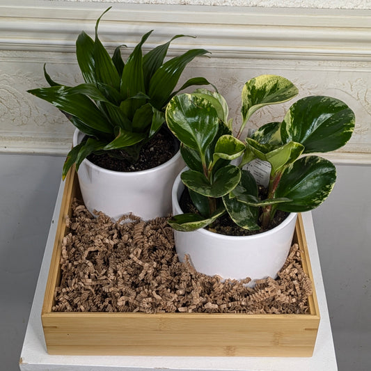 Build-Your-Own Floral Gift Box