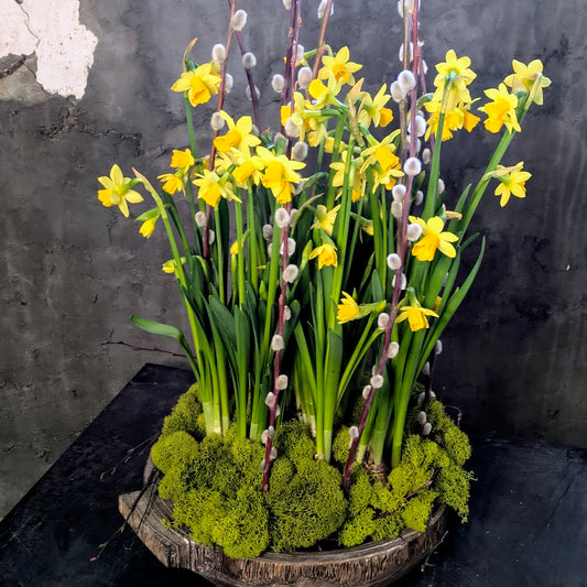 Seasonal Feature - Floral Arrangement