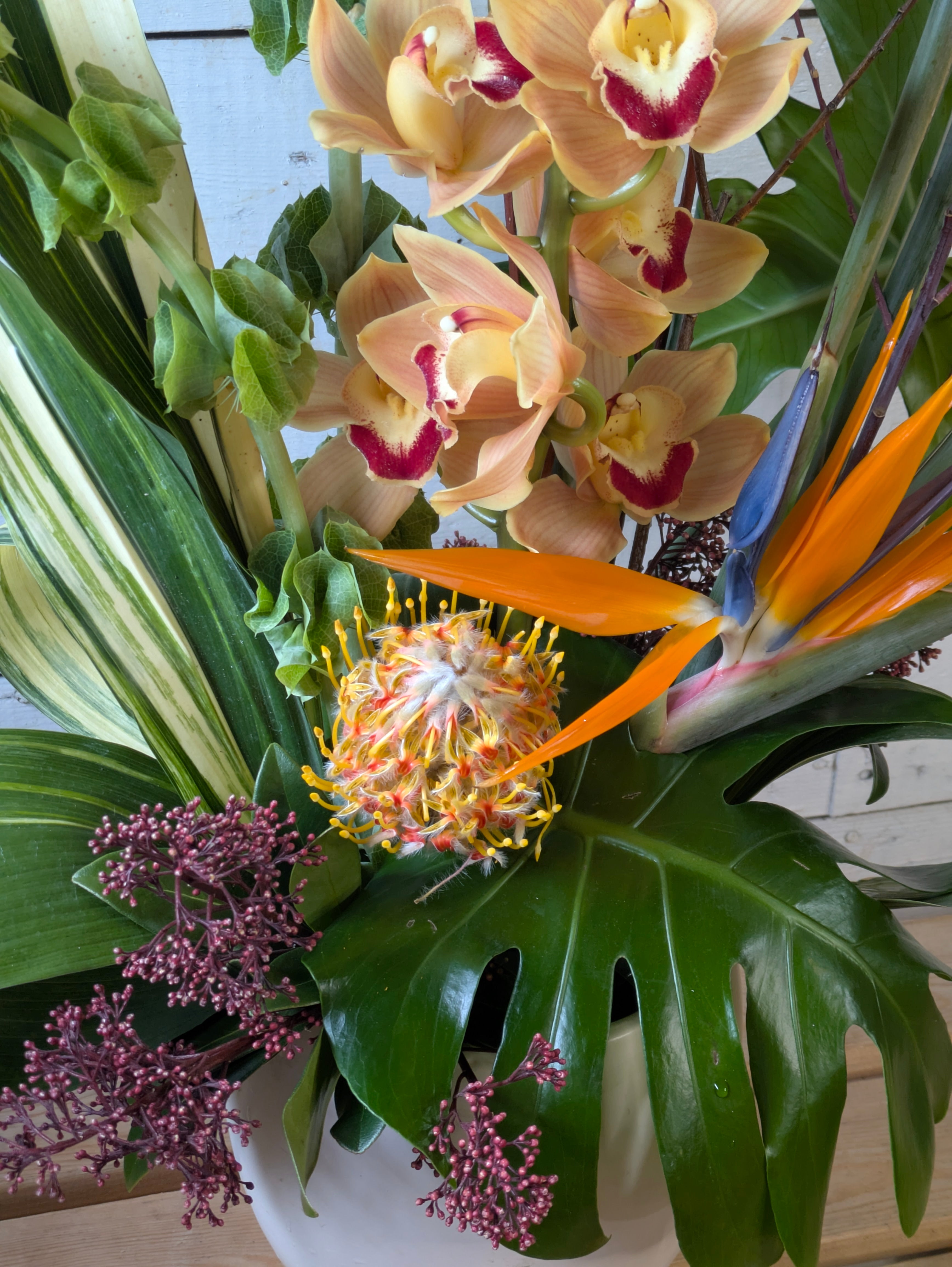 Tropical Statement