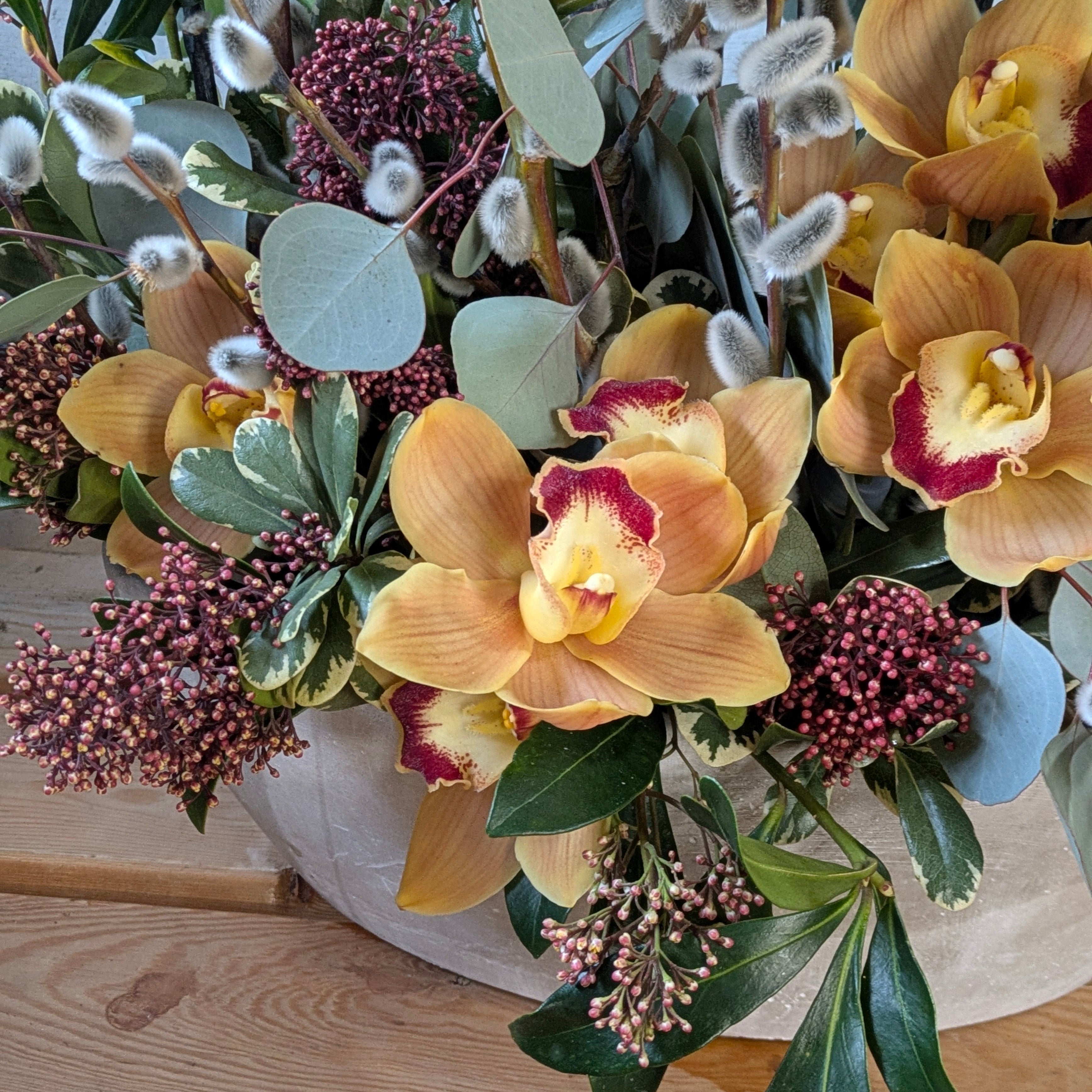 Orchid Statement