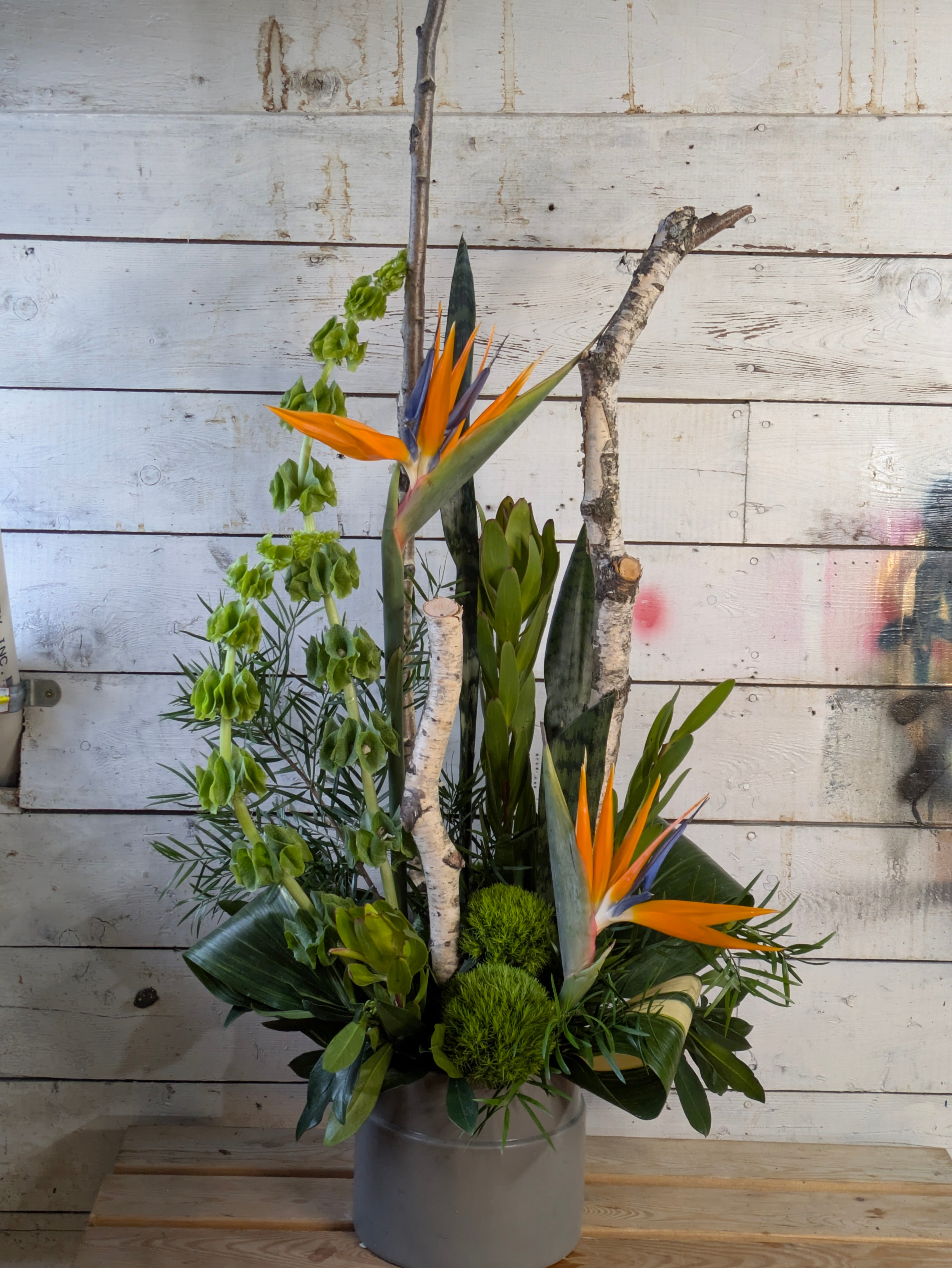 Tropical Statement