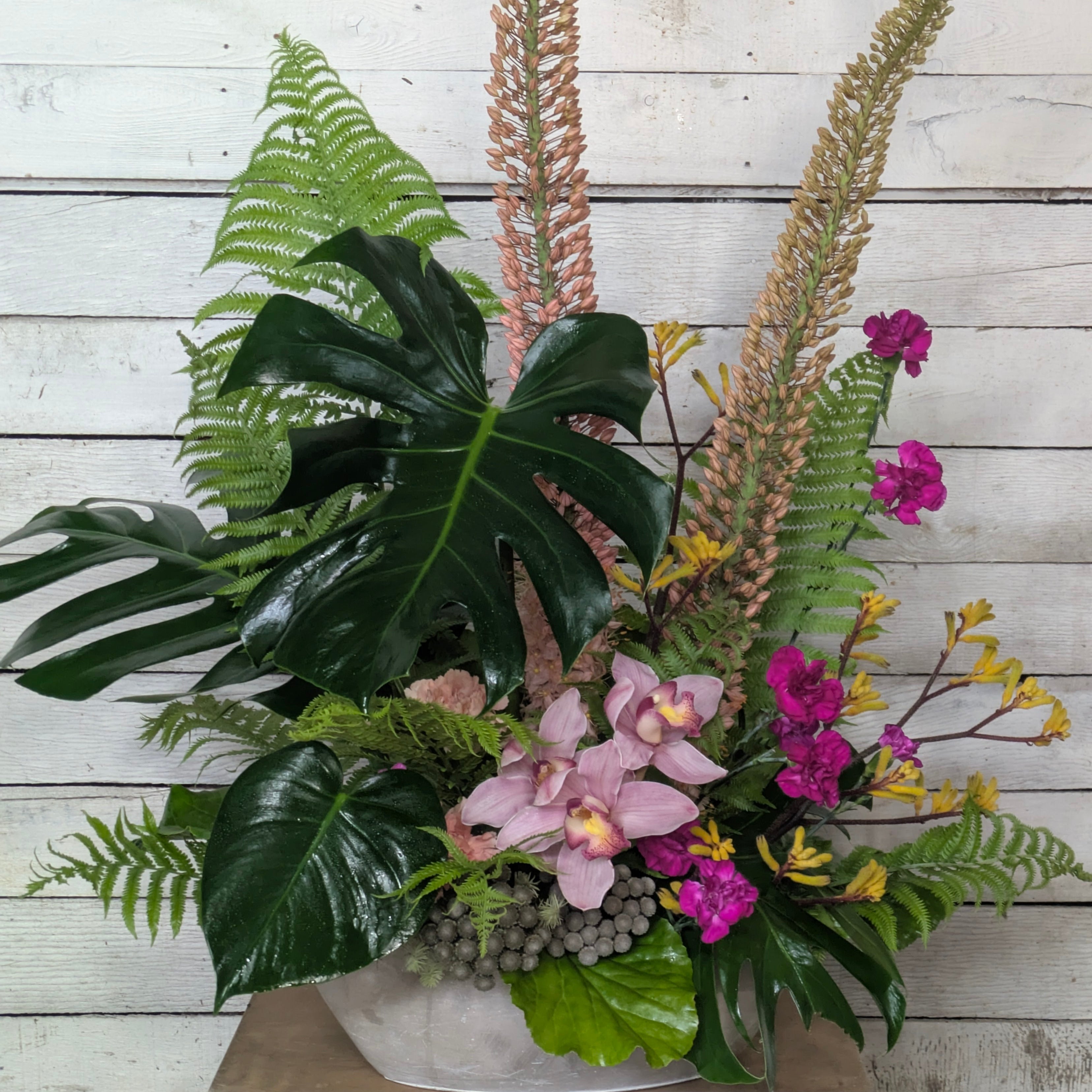Orchid Statement