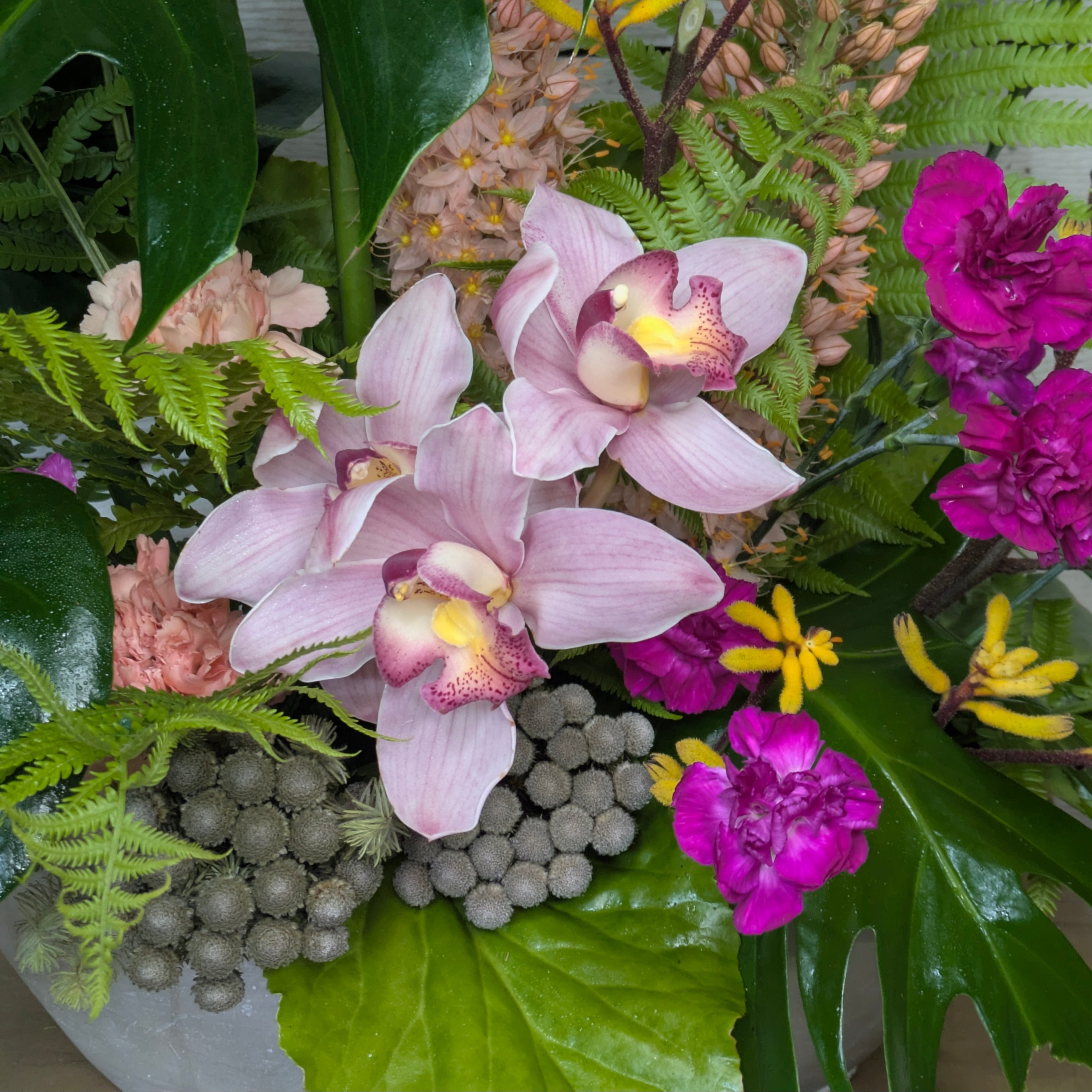 Orchid Statement