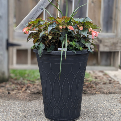 Patio Planters